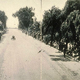 Illustration for article titled Photos of L.A.s Most Famous Streets When They Were Dirt Roads